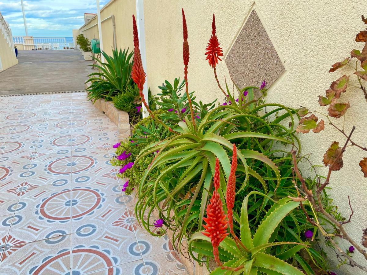 Royal Beach House Vista Mar لا ماتا المظهر الخارجي الصورة